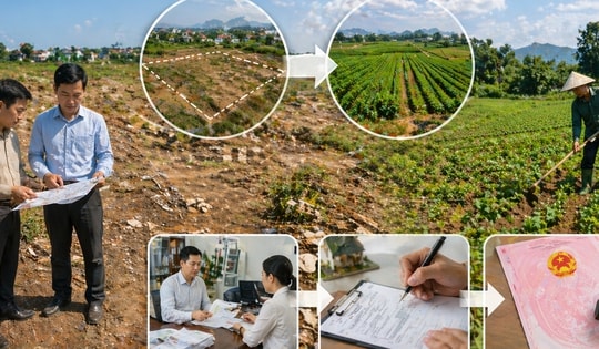 Từ nay, đất chưa sử dụng có được đưa vào sử dụng làm đất nông nghiệp không, thủ tục thế nào?