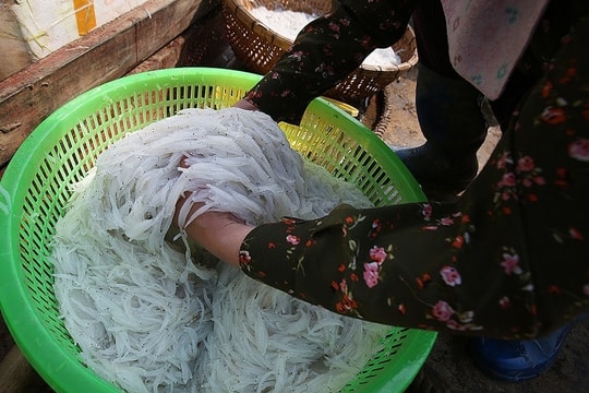 Nghề 'trẻ con cũng làm được': Nhiều phụ nữ ven biển kiếm tiền triệu mỗi ngày chỉ với vật dụng đơn giản