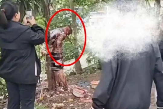 Chú rể bị lột gần hết quần áo, dội nước tương, ném trứng sống rồi trói vào thân cây trong đám cưới