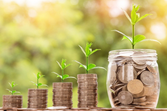 Lãi lớn, một doanh nghiệp khoáng sản chi 1.810 tỷ đồng trả cổ tức tỷ lệ 90,5%