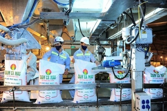 Chuyên gia thuế: Thuế xuất khẩu phân bón của Trung Quốc, Malaysia đã về 0%, Việt Nam vẫn ghì chân ở mức 5%