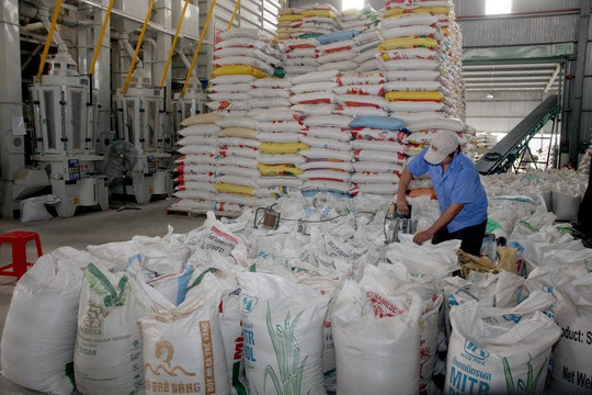 Một mặt hàng của nước ta được Philippines và Trung Quốc tăng mua mạnh, mục tiêu 5 tỷ USD dần trong tầm tay