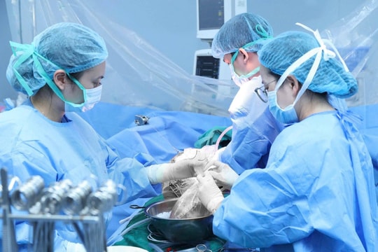 Chuyên gia, Giáo sư, Phó Giáo sư thuộc các lĩnh vực này có thể nhận mức lương 150 triệu đồng/tháng