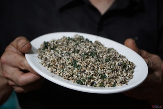 'Cháy hàng' với giá 300.000 đồng/kg: Người dân Quảng Trị đổ xô đi săn 'hạt ngọc rừng', ăn vào có thể sưng môi phù mặt