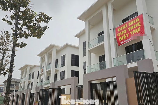 Giao dịch nhà ở thấp tầng Hà Nội giảm mạnh, giá đi ngang