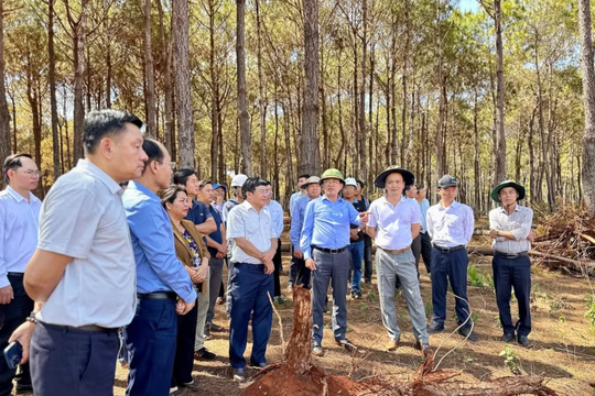 Chủ tịch FLC Trịnh Văn Quyết cùng lãnh đạo tỉnh trực tiếp thị sát siêu dự án gần 20.000 tỷ, hé lộ kế hoạch cuối năm nay