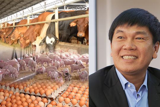 Công ty của tỷ phú Trần Đình Long lãi lớn từ chăn nuôi heo, 'bán 3 lãi 1' và công thức ưu việt