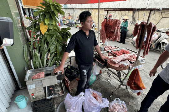 Phát hiện hơn 65 tấn thịt bò giả, thịt ngâm hóa chất: Khởi tố Nguyễn Văn Thái SN 1987 và đồng phạm