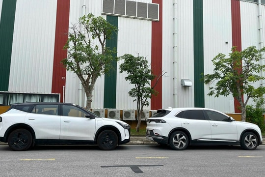 Mẫu xe chủ lực của VinFast lộ diện bản mới không che đậy, đẹp hơn cả kỳ vọng, ngày ra mắt cận kề?