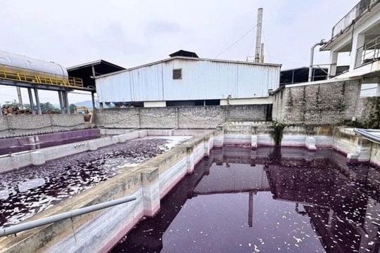 Một công ty giặt là lớn bị phạt hơn 1,5 tỷ đồng, buộc tháo dỡ toàn bộ hệ thống đường dẫn nước