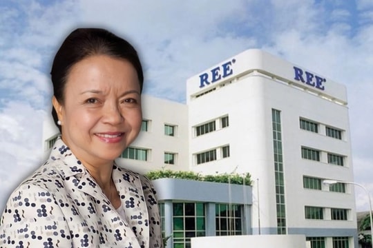 Bà Nguyễn Thị Mai Thanh bất ngờ rời ghế Chủ tịch Cơ điện lạnh (REE)