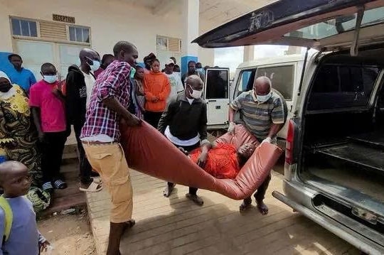 Dịch Ebola tái bùng phát, WHO lập tức ban bố tình trạng khẩn cấp quốc tế