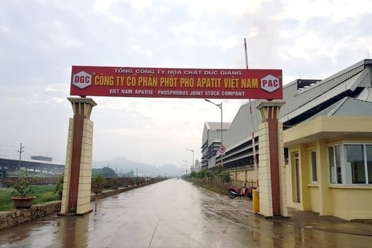 Sau loạt biến động nhân sự, công ty nhà Hóa chất Đức Giang (DGC) gấp rút hoàn tất báo cáo kiểm toán