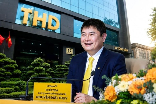 Cổ phiếu Thaiholdings tăng dựng 7 phiên trần, điều gì đang diễn ra?
