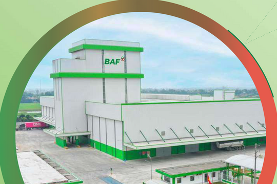 BAF vay 50 triệu USD từ định chế tài chính Hà Lan, thế chấp loạt công ty chăn nuôi chiến lược