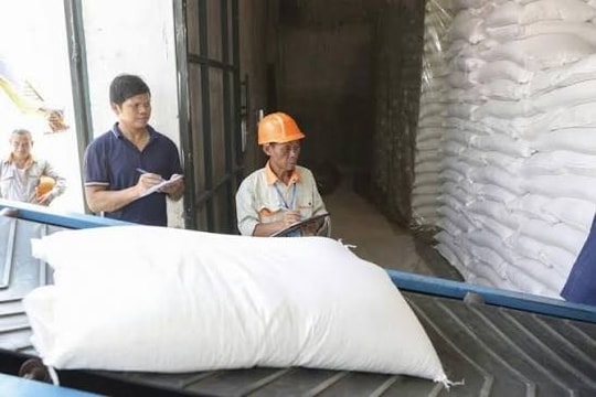 Đề xuất đưa chip bán dẫn, an ninh mạng vào danh mục dự trữ quốc gia