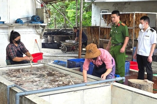 Đột kích cơ sở thực phẩm, lực lượng chức năng phát hiện 3 tấn lòng lợn hôi thối tại Bắc Ninh