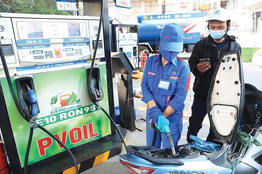 Lo hỏng xe khi dùng xăng E10? Chuyên gia chỉ cách sử dụng an toàn, tiết kiệm nhất cho xe máy và ô tô