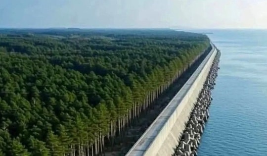 ‘Vạn Lý Trường Thành của Nhật Bản’ nằm dọc bờ biển: Cao như tòa nhà 5 tầng, kinh phí xây dựng 12 tỷ USD