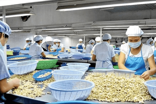 Nghịch lý mặt hàng top đầu thế giới của Việt Nam: Nhập khẩu cao hơn xuất khẩu