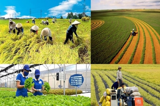 Lớn nhất từ trước đến nay: Bộ Nông nghiệp và Môi trường đề xuất 'xóa sổ' 100 quy định