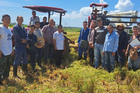 Chuyên gia Việt Nam nói thẳng về 'hạt vàng' nở rộ trên cánh đồng ở Cuba, năng suất tăng vọt gấp 4 lần, người dân thu nhập có cao hơn