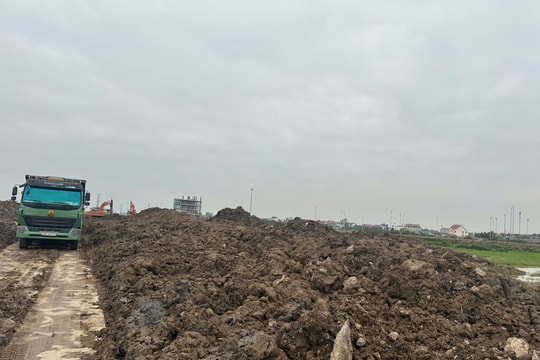 Khởi tố Giám đốc Nguyễn Văn Tuấn, SN 1983
