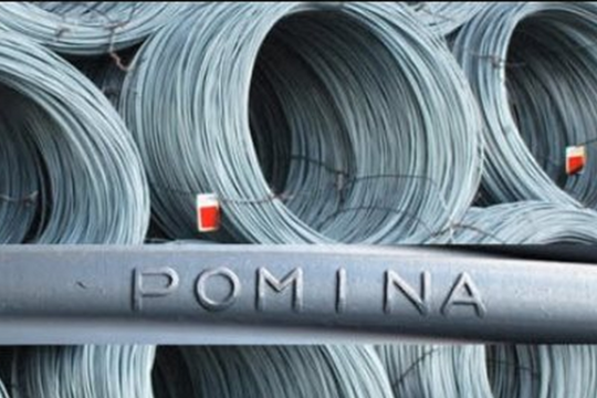 Pomina vừa nhận hỗ trợ từ Vingroup, cổ đông lớn nhất bất ngờ bị thi hành án bán 4 triệu cổ phiếu