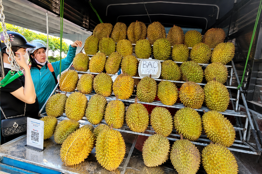 Giá sầu riêng rớt thảm 3 lần sau một tháng, tiểu thương cảnh báo chiêu bán 'hàng dạt' 40.000 đồng/kg