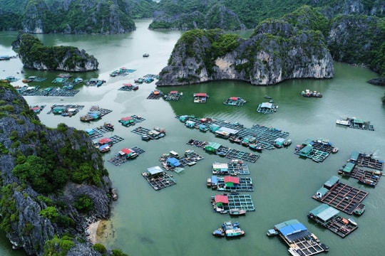 Việt Nam lọt top 15 điểm đến thế giới
