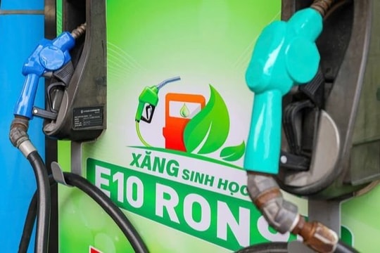 Xe đời cũ không hỗ trợ xăng E10 phải làm gì để chạy an toàn? Chuyên gia giải đáp