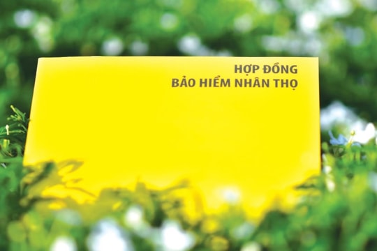 Nghịch lý của bảo hiểm nhân thọ tại Việt Nam: Ai cũng thấy cần, nhưng chưa chắc đã mua
