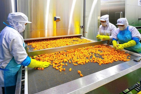 Trung Quốc càng khó tính, mặt hàng này của Việt Nam càng bán chạy, thu gần 3 tỷ sau 5 tháng