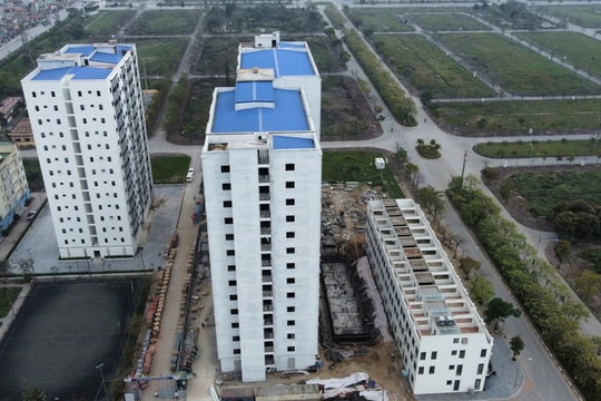 Chuyên gia hiến kế để tăng nguồn cung nhà ở cho thuê