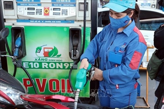 Thế giới dùng từ năm 1985, vì sao Việt Nam vẫn sợ xăng E10?