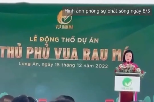 Lừa đảo hơn 1.000 tỷ đồng từ hàng trăm nhà đầu tư, Chủ tịch công ty rau má bị khởi tố