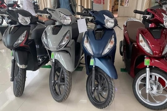 Cập nhật bảng giá Honda Vision tháng 6/2026 chi tiết và mới nhất