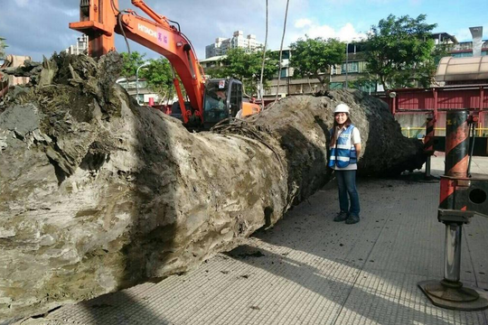 Công nhân xây dựng phát hiện vật thể tỏa mùi thơm dài hơn 30m, chính quyền lập tức phong tỏa hiện trường