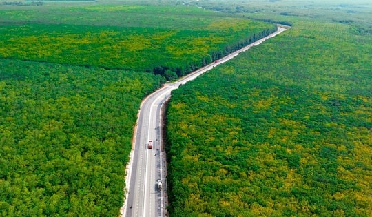 Xã sắp lên phường của TP. HCM: Sở hữu hồ nhân tạo rộng gấp 50 lần Hồ Tây và tuyến đường chạy xuyên rừng cao su