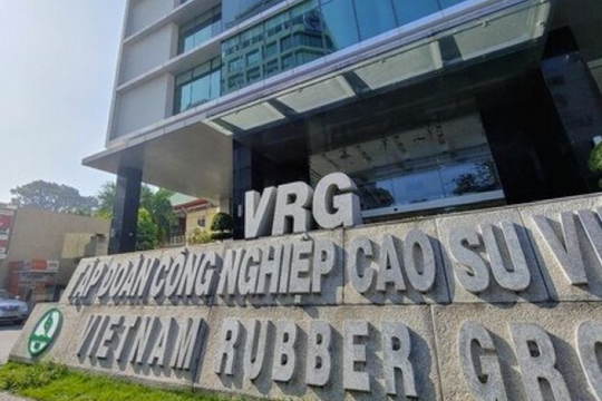 Bộ Tài chính nắm tới 96% vốn, doanh nghiệp tỷ USD lên kế hoạch tái cơ cấu