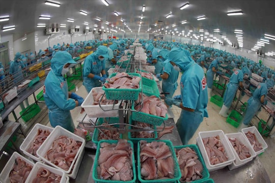 Nhà máy trên khắp Đông Nam Á bắt đầu đóng cửa và sa thải hàng loạt, chuyện gì đang xảy ra?