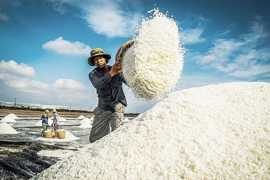 'Vàng trắng' của biển ê hề, Việt Nam vẫn chi gần 500 tỷ nhập khẩu từ đầu năm đến nay