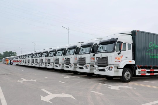 Sau đơn hàng lớn với đối tác Trung Quốc, doanh nghiệp Việt sắp khởi công nhà máy ô tô tải 15.000 xe/năm