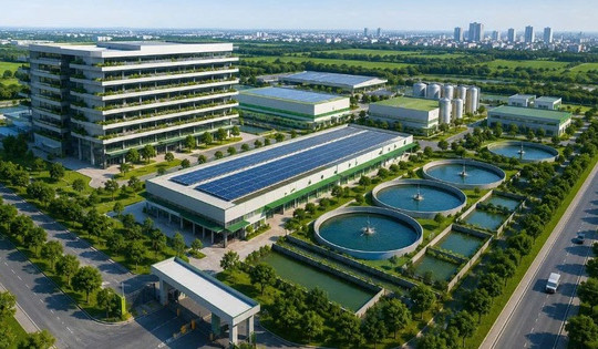 Hà Nội nghiên cứu phát triển tổ hợp chăn nuôi công nghệ cao, dự kiến đặt tại 3 xã