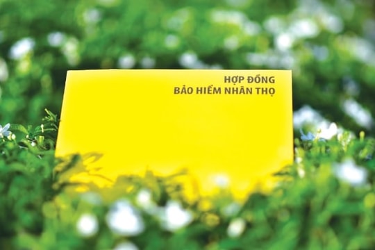 Thêm 'tân binh' gia nhập thị trường bảo hiểm nhân thọ Việt Nam