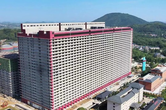 Hà Nội nghiên cứu tổ hợp chăn nuôi lợn cao tầng tại 3 xã