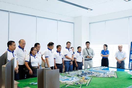 Tổ hợp gang thép 7 tỷ USD của Hòa Phát (HPG) đón tiếp đoàn đại biểu quốc tế đến tham quan