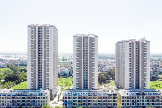 Hà Nội chỉ đạo kiểm tra, xử lý vụ phát hiện gần 90 căn nhà ở xã hội có dấu hiệu trục lợi