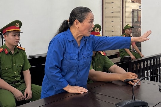 Tuyên án phạt tù cụ bà Lê Thị Kim Liên, 69 tuổi