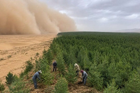 Hồi sinh 92.000ha đất hoang thành rừng nhân tạo lớn nhất thế giới: Kỳ tích xanh kéo dài 3 thế hệ, được Liên Hợp Quốc vinh danh